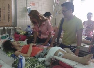 Em loan sự hồi sinh kì diệu