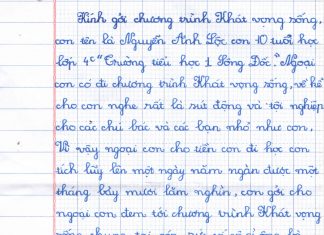 Thư gởi khát vọng sống của em Nguyễn Anh Lộc 10 tuổi trường tiểu học 1 sông đốc