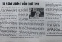 15 năm vương vấn chữ tình